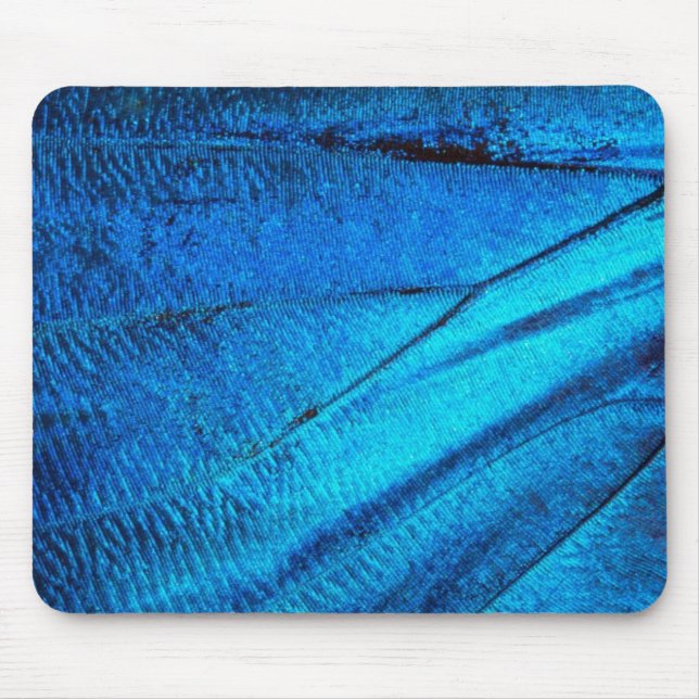 Iridescent Blue Butterfly Wing Mousepad (Vorne)