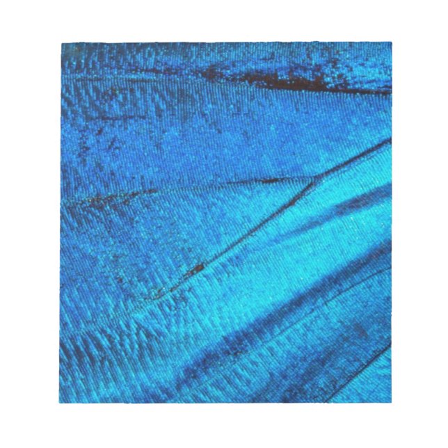 Iridescent Blue Butterfly Wing Notizblock (Vorderseite)