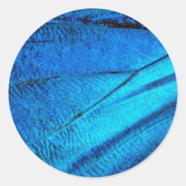 Iridescent Blue Butterfly Wing Runder Aufkleber