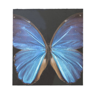 Iridescent Blue Butterfly Wings Notizblock