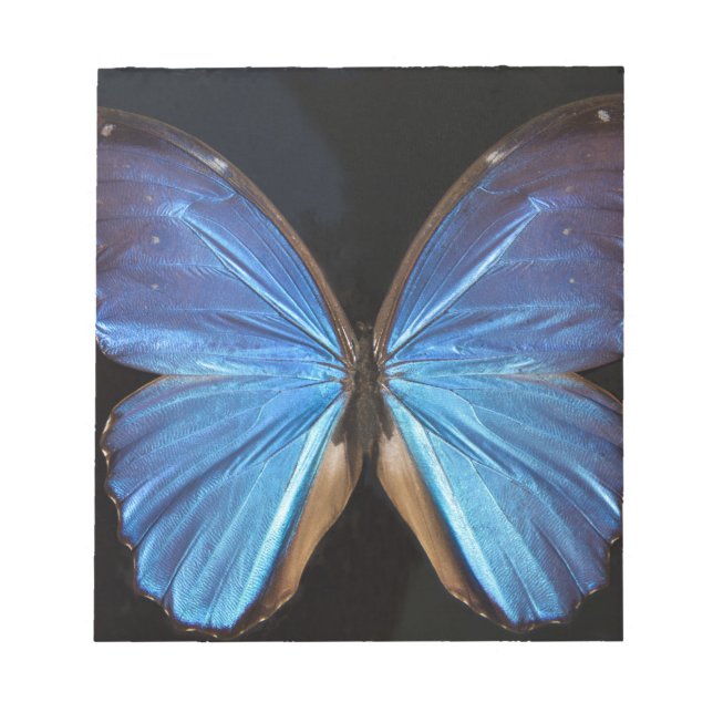 Iridescent Blue Butterfly Wings Notizblock (Vorderseite)