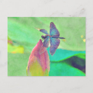 Iridescent Blue Dragonfly auf Wasserlilie Postkarte