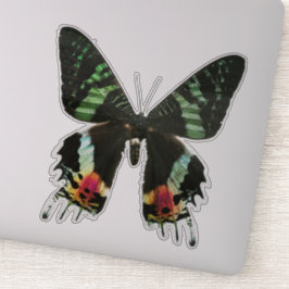 Iridescent Multicolor Butterfly Aufkleber