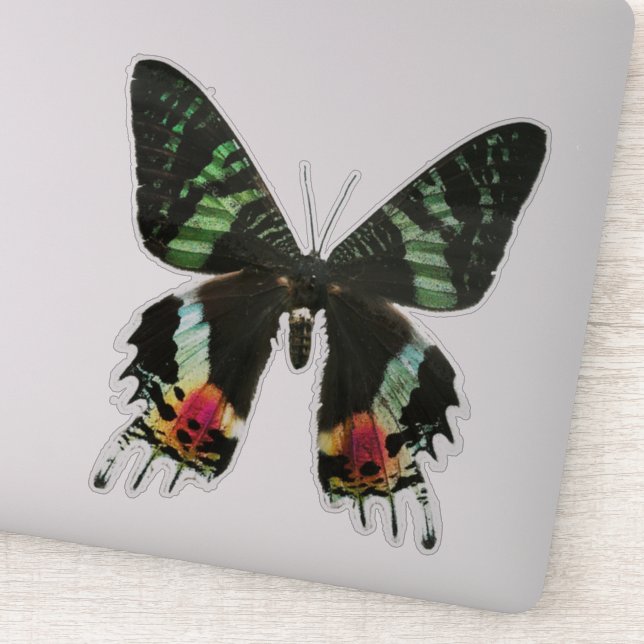 Iridescent Multicolor Butterfly Aufkleber (Detail)