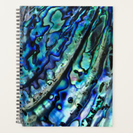 Iridescent Paua Abalone Muschel 2026 Planer