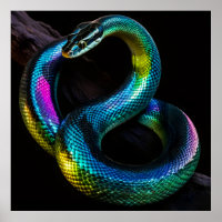 Iridescent Snakes