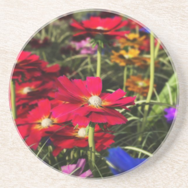 Iridescent Spring Untersetzer (Vorne)