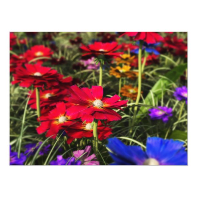 Iridesent Spring Foto Print (Vorne)