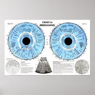 Iridiagnose Iridologie Tableau de l'œil