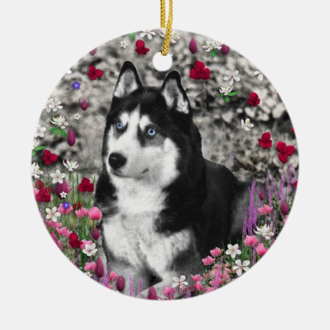 Irie der sibirische Schlittenhund in den Blumen Keramik Ornament (Vorne)