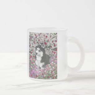 Irie der sibirische Schlittenhund in den Blumen Mattglastasse