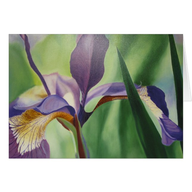 Iris (Devant horizontal)