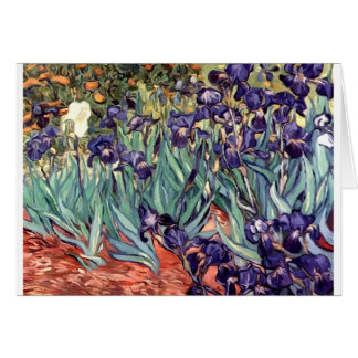 Iris