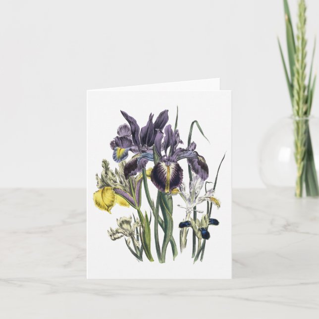 Iris-Aquarell-Raum-Anmerkungs-Karte Karte (Vorderseite)