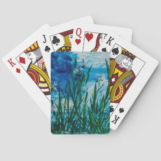 Iris auf den Wasser-Rand-Spielkarten Spielkarten