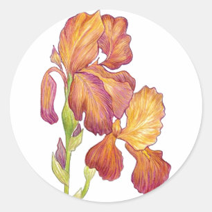 Iris-Aufkleber Runder Aufkleber