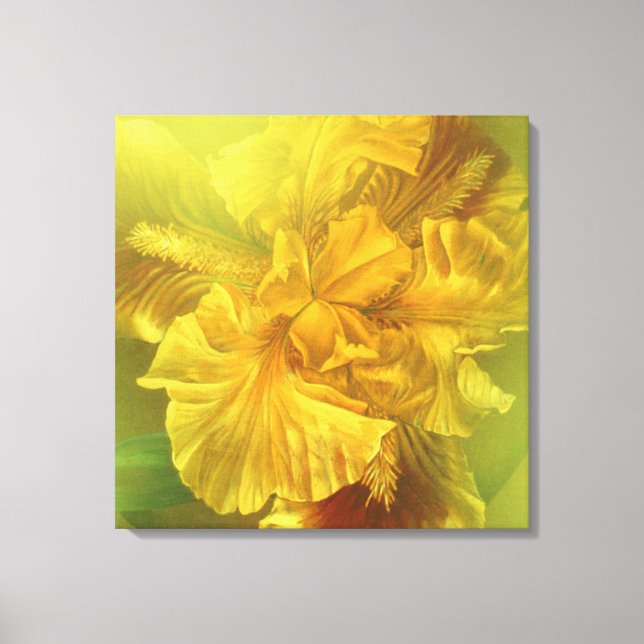 Iris beauté intérieure (jaune chaud) toile carré (Recto)