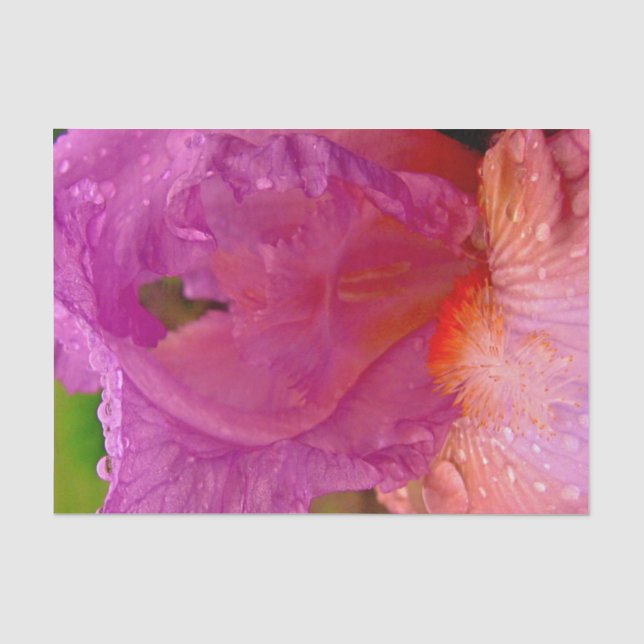 Iris Beauty-Tissue Wrapping Paper Seidenpapier (Vorderseite)