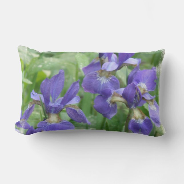 Iris-Birnen-Kissen Lendenkissen (Vorderseite)