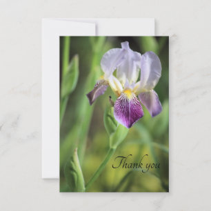 Iris Bloom in der Sonne Dankeskarte