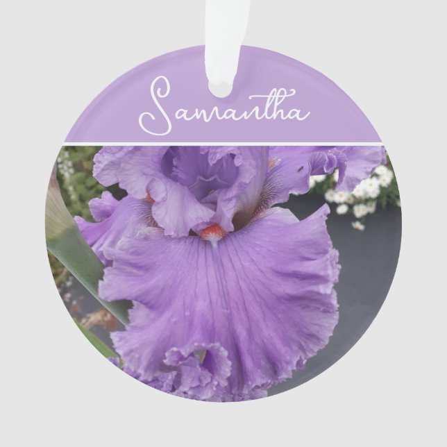 Iris Blume Blume Lila Lavender Lilac Schürze Ornament (Vorderseite)