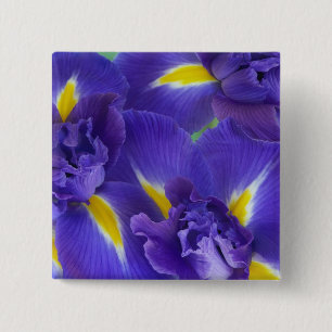 Iris-Blume Button