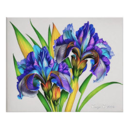 Iris-Blume, die wunderschönen Frühlingsblumen Fotodruck