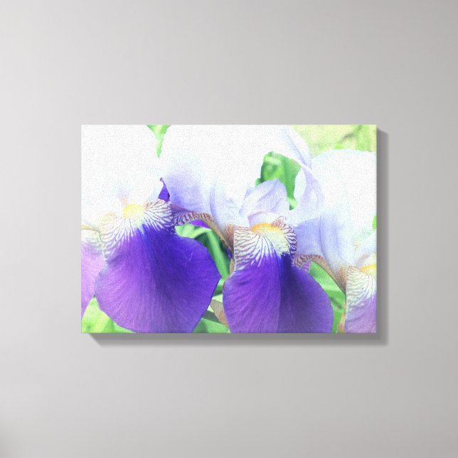 Iris Blume Fotografie Canvas Print Leinwanddruck (Vorderseite)