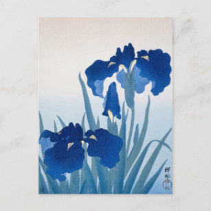 Iris Blume Gemälde von Ohara Koson Postkarte