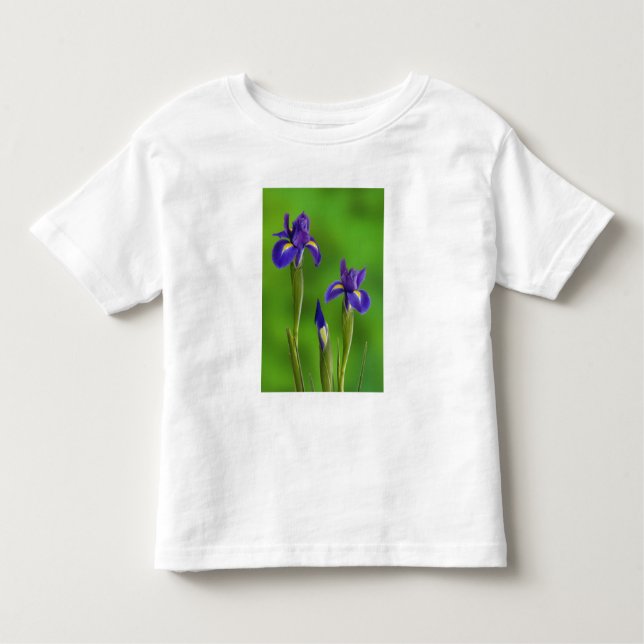 Iris-Blume Kleinkind T-shirt (Vorderseite)