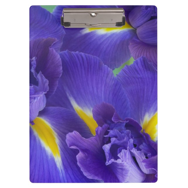 Iris-Blume Klemmbrett (Vorderseite)