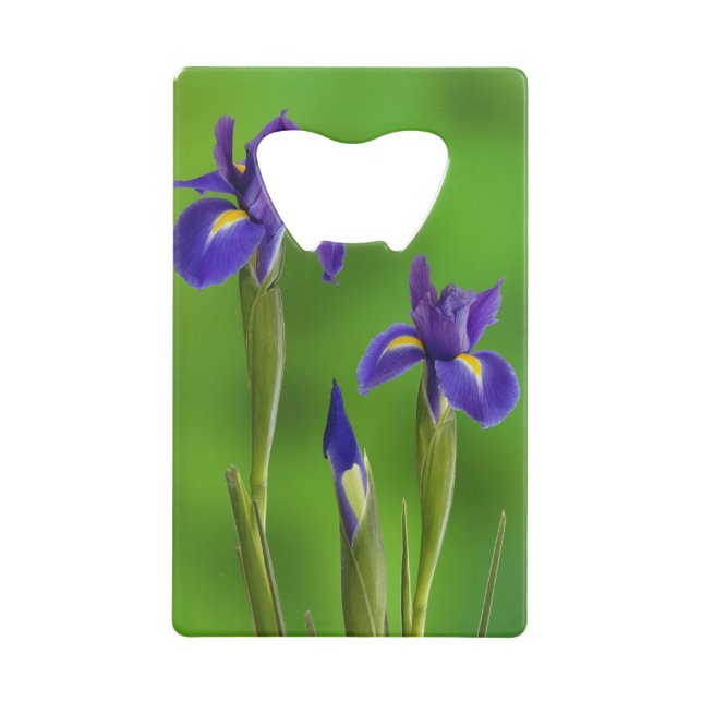 Iris-Blume Kreditkartenflaschenöffner (Vorderseite)