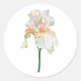Iris-Blume, lebhafte beige Blütenblätter. Runder Aufkleber