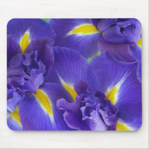 Iris-Blume Mousepad