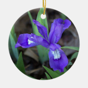 Iris Blume Ornament
