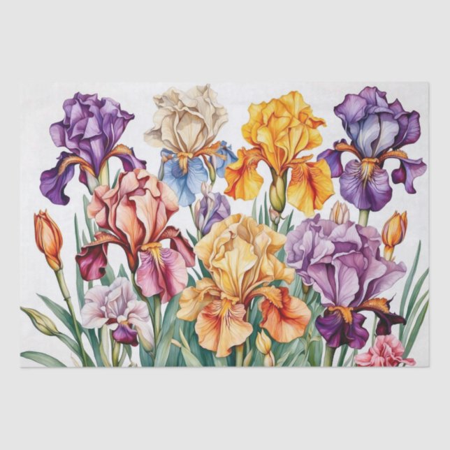 Iris-Blume Seidenpapier (Vorderseite)