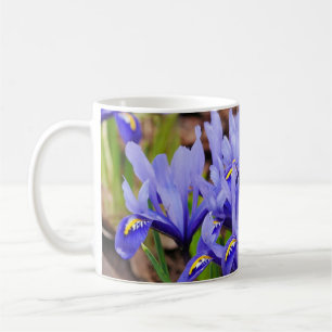 Iris Blume Tasse