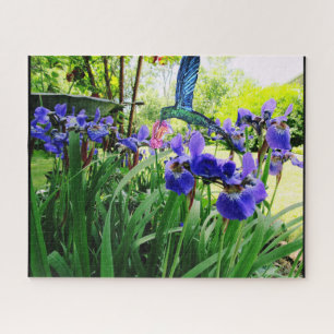IRIS-BLUME UND DAS HUMMINGBIRD-Rätsel