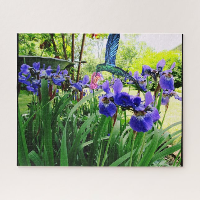 IRIS-BLUME UND DAS HUMMINGBIRD-Rätsel (Horizontal)