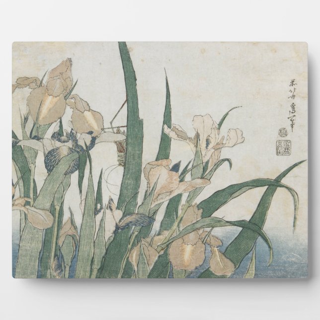 Iris-Blume und Grasshopper, c.1830-31 Fotoplatte (Vorderseite)