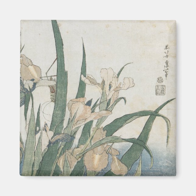 Iris-Blume und Grasshopper, c.1830-31 Magnet (Vorne)