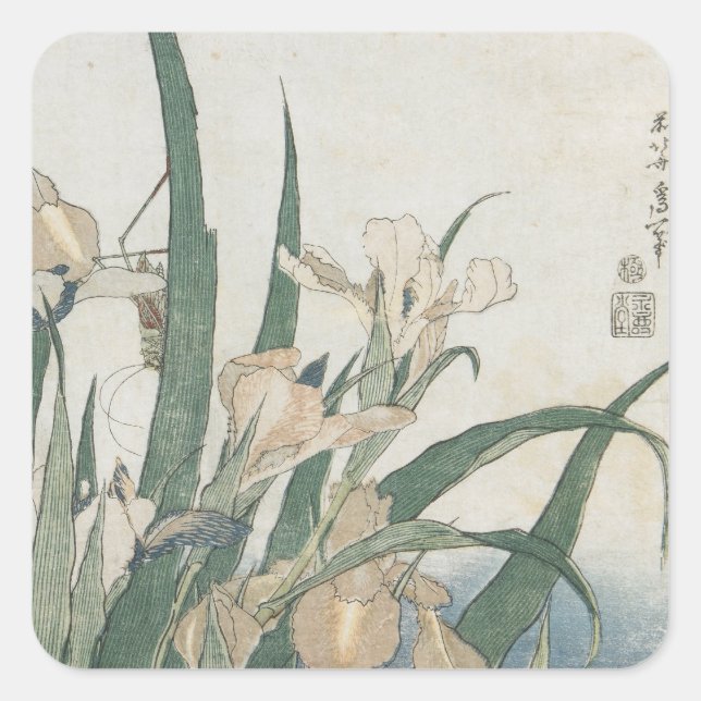 Iris-Blume und Grasshopper, c.1830-31 Quadratischer Aufkleber (Vorderseite)