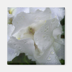 Iris-Blumenmagnet Magnet