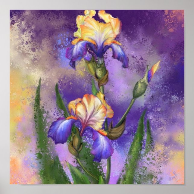 Iris-Blumenposter Irises-Malerei Poster (Vorne)