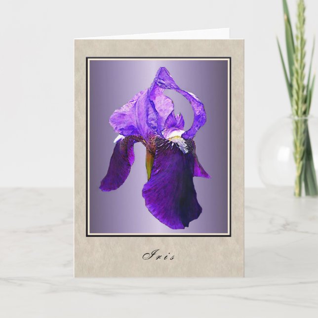 Iris - Blumenserie Karte (Vorderseite)