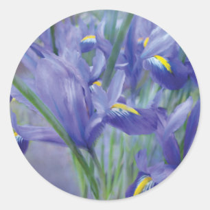 Iris-Blumenstrauß-Kunst-Aufkleber Runder Aufkleber