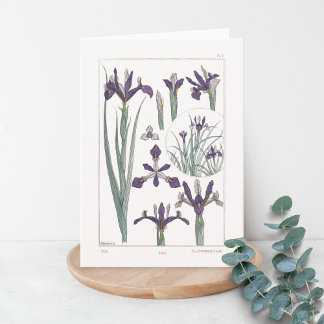Iris Botanical Maurice Verneuil Blank Card Karte
