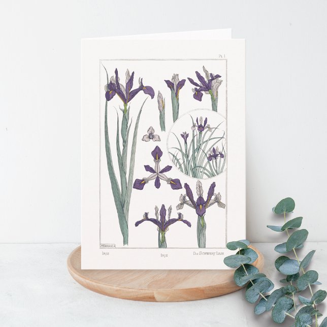 Iris Botanical Maurice Verneuil Blank Card Karte (Von Creator hochgeladen)