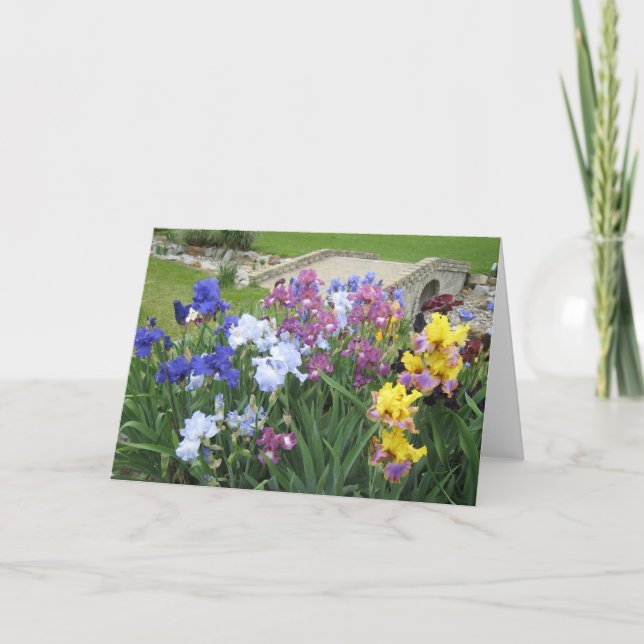 iris brook grande carte blanche (Devant)