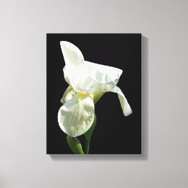 Iris Canvas Print Leinwanddruck